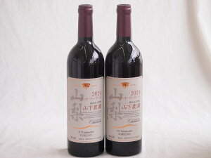 【最大2000円オフクーポン26日1:59迄】2本セット(シャンモリ山梨県産限定醸造甲州赤ワイン12度辛口(笛吹市石和町山下農園)) 750ml×2本