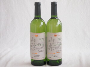 【最大2000円オフクーポン26日1:59迄】2本セット(シャンモリ山梨県産限定醸造甲州白ワイン12度辛口(笛吹市石和町山下農園)) 750ml×2本