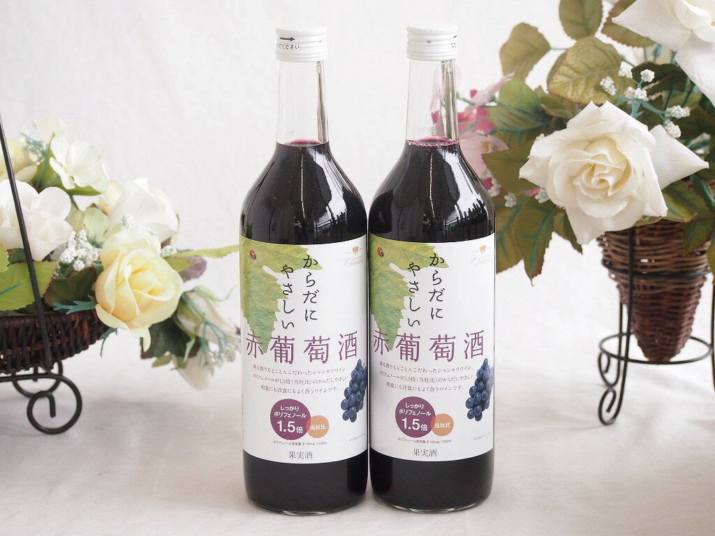 2本セット(からだにやさしい赤葡萄酒 赤ワイン11度 ミディアム(山梨県)) 720ml×2本