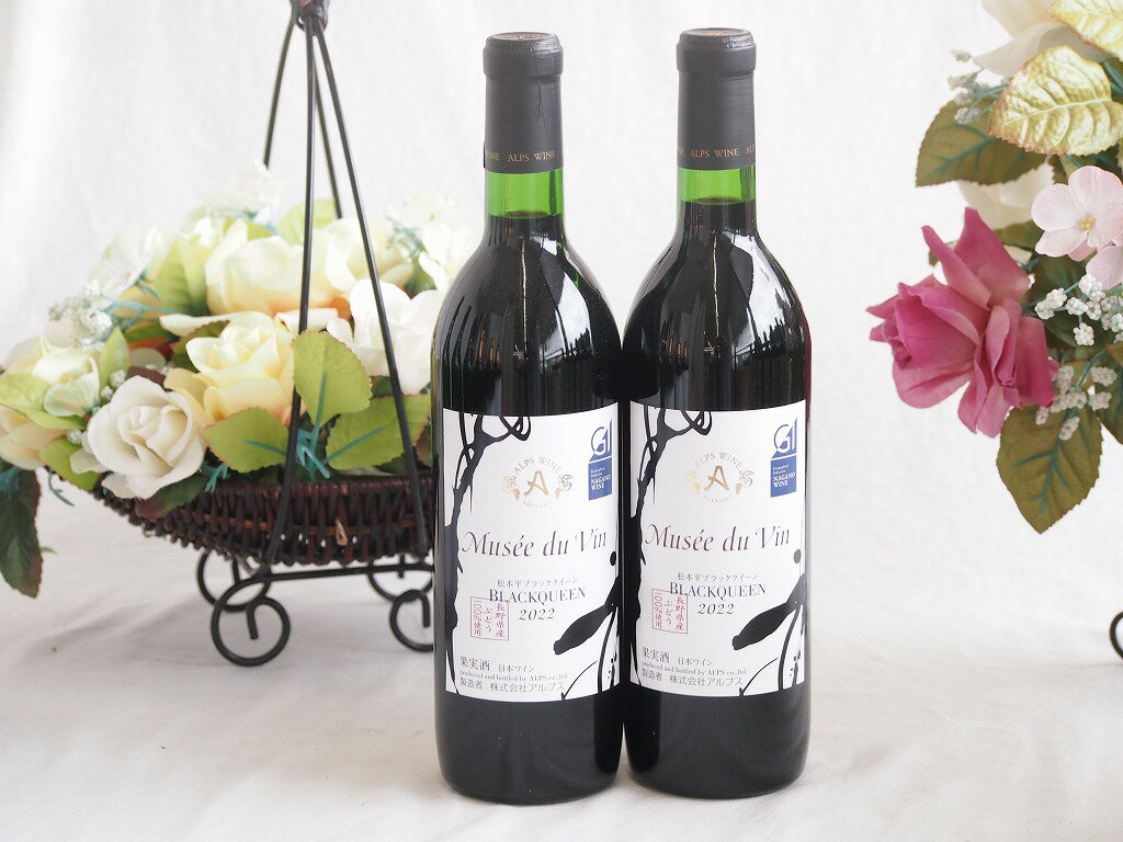 2本セット(GI長野日本ワイン白ミュゼドゥヴァン 松本平ブラッククイーン樽熟成12度フルボディ) 720ml×2本