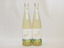 2本セット(金鯱日本酒ブレンド 知多半島のベルガモットオレンジ酒(愛知県)) 500ml×2本
