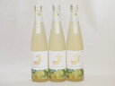 3本セット(金鯱日本酒ブレンド 知多半島のベルガモットオレンジ酒(愛知県)) 500ml×3本