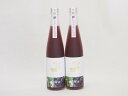 2本セット(金鯱純米酒ブレンド 知多半島の巨峰酒(愛知県)) 500ml×2本