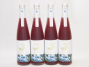 4本セット(金鯱焼酎ブレンド 知多半島のブルーベリー酒(愛知県)) 500ml×4本