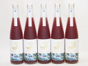 5本セット(金鯱焼酎ブレンド 知多半島のブルーベリー酒(愛知県)) 500ml×5本