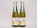 2本セット(古酒仕込み 紅茶梅酒 11%) 300ml×2本