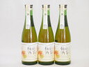 3本セット(古酒仕込み 紅茶梅酒 11%) 300ml×3本