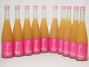 篠崎 桃梅酒もも、はじめました(福岡県)500ml×10本