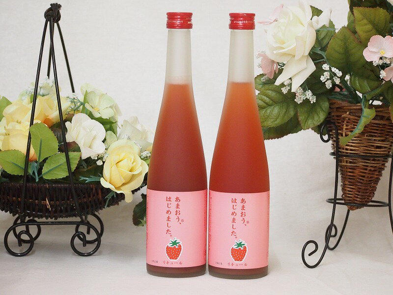 篠崎 あまおう梅酒あまおう、はじめました（福岡県）500ml×2本