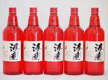 【最大2000円オフクーポン11日1:59迄】黒麹造り 海童 祝い赤 本格芋焼酎 濱田酒造(鹿児島県)720ml×5本