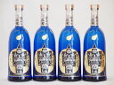 そば焼酎 泰斗の鳳駕(たいとのほうが) 720ml×4本