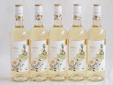 スペイン金賞受賞5本セット(白ワイン ラ・フェア・ヴィウラ・シャルドネ辛口) 750ml×5本