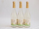 信州特産ぶどう100%3本セット(シャインマスカット&ナイアガラスパークリングワイン(長野県)) 500ml×3本