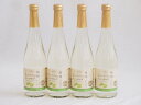 信州特産ぶどう100%4本セット(シャインマスカット&ナイアガラスパークリングワイン(長野県)) 500ml×4本