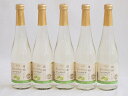 信州特産ぶどう100%5本セット(シャインマスカット&ナイアガラスパークリングワイン(長野県)) 500ml×5本