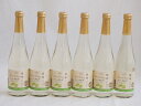 信州特産ぶどう100%6本セット(シャインマスカット&ナイアガラスパークリングワイン(長野県)) 500ml×6本