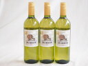 3本セット(スペイン金賞白ワイン ラス カレータス マカベオ) 750ml×3本