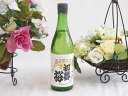 【最大2000円オフクーポン26日1:59迄】金鯱 純米酒 初夢桜(愛知県) 720ml×1本