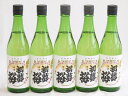 【最大2000円オフクーポン26日1:59迄】5本セット(金鯱 純米酒 初夢桜(愛知県)) 720ml×5本
