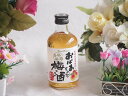 【最大2000円オフクーポン11日1:59迄】紀州産南高梅100% おばあちゃんの梅酒 14度 300ml×1本