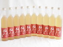 10本セット(あさ開 梅花音 あさ開酒造 (岩手県)) 500ml×10本