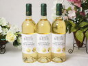 3本セット(フランストリプル金賞受賞白ワイン サン・ロマン辛口) 750ml×3本