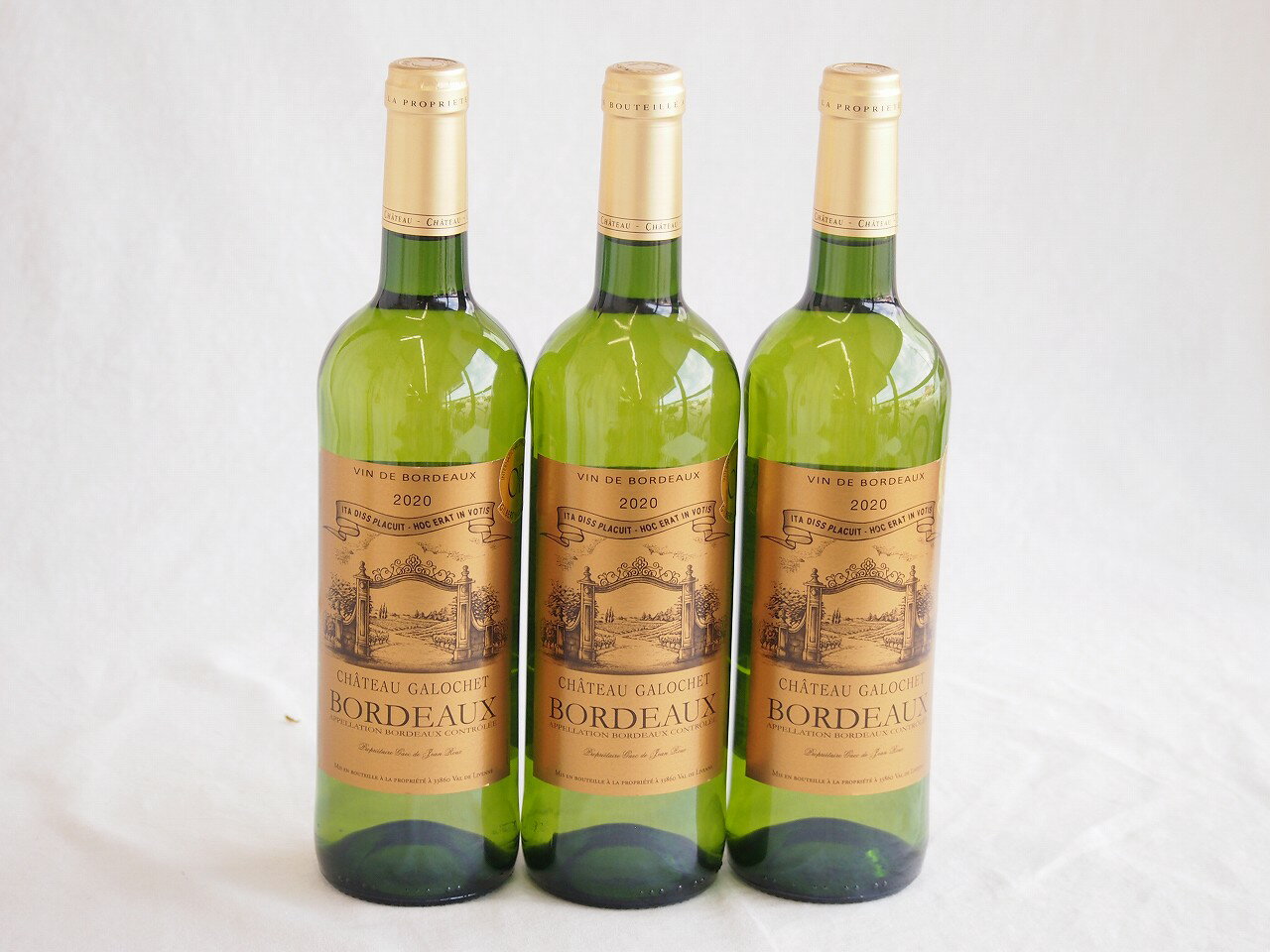 3本セット(フランス金賞受賞白ワイン シャトー ガロシェ 辛口) 750ml×3本