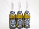 3本セット(ロッカ グロリオサ ヴィノ スプマンテ ブリュット シャンパン スパークリング(イタリア) ) 750ml×3本