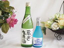 クール便配送にごり酒2本セット(白川郷ささ純米吟醸まろやかな辛口(岐阜) 天一本醸造 蔵出し生原酒(三重県)) 300ml×1本 720ml×1本