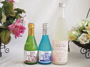 地酒にごり3本セット(HAKUROスイート純米うすにごり超甘口(新潟) 白川郷ささ純米吟醸まろやかな辛口(岐阜) 白川郷 にごり酒 純米(岐阜)) 720ml×...