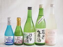 地酒にごり5本セット(桃川にごり原酒(青森) HAKUROスイート純米うすにごり超甘口(新潟) 白川郷ささ純米吟醸まろやかな辛口(岐阜) 白川郷 にごり酒 純米(岐阜) 天一本醸造 蔵出し生原酒(三重県)) 720ml×3本 300ml×2本