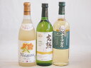 ナイアガラ葡萄フルーティーでフレッシュな風味ワイン3本セット(信州産完熟ナイアガラ 長野県産葡萄ナイアガラ 生葡萄おたる完熟ナイヤガラ) 720ml×3本