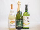 ナイアガラ葡萄フルーティーでフレッシュな風味ワイン3本セット(信州産完熟ナイアガラ おたるナイアガラスパークリングワイン 生葡萄おたる完熟ナイヤガラ) 720ml×3本
