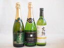 ナイアガラ葡萄フルーティーでフレッシュな風味ワイン3本セット(信州産完熟ナイアガラ 塩尻ナイアガラスパークリング おたるナイアガラスパークリングワイン) 720ml×3本