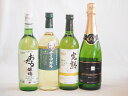 ナイアガラ葡萄フルーティーでフレッシュな風味ワイン4本セット(信州産完熟ナイアガラ 長野県産葡萄ナイアガラ 塩尻ナイアガラスパークリング 生葡萄おたる ナイアガラ) 720ml×4本