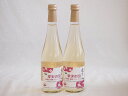 2本セット(果実の泡シードル 北海道林檎スパークリング(やや甘口)) 500ml×2本