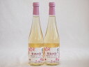 2本セット(果実の泡シードル 北海道梅スパークリング(やや甘口)) 500ml×2本