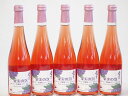 5本セット(果実の泡 北海道黒葡萄スパークリングロゼ(やや甘口)) 500ml×5本(4)