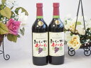 2本セット(酸化防止剤無添加 おいしい甘口 赤わいん) 720ml×2本