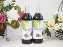 2本セット(からだにやさしい赤葡萄酒 赤ワイン ミディアム(山梨県)) 720ml×2本