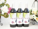 3本セット(からだにやさしい赤葡萄酒 赤ワイン ミディアム(山梨県)) 720ml×3本(4)