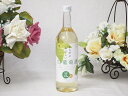からだにやさしい白葡萄酒 白ワインやや甘口(山梨県) 720ml×1本