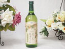 国産葡萄100%おいしい日本ワイン白やや辛口(山梨県) 720ml×1本