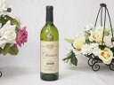 山梨県産葡萄100% グラン・シャンモリ ブラン アッサンブラージュ(フルーティやや辛口) 750ml×1本