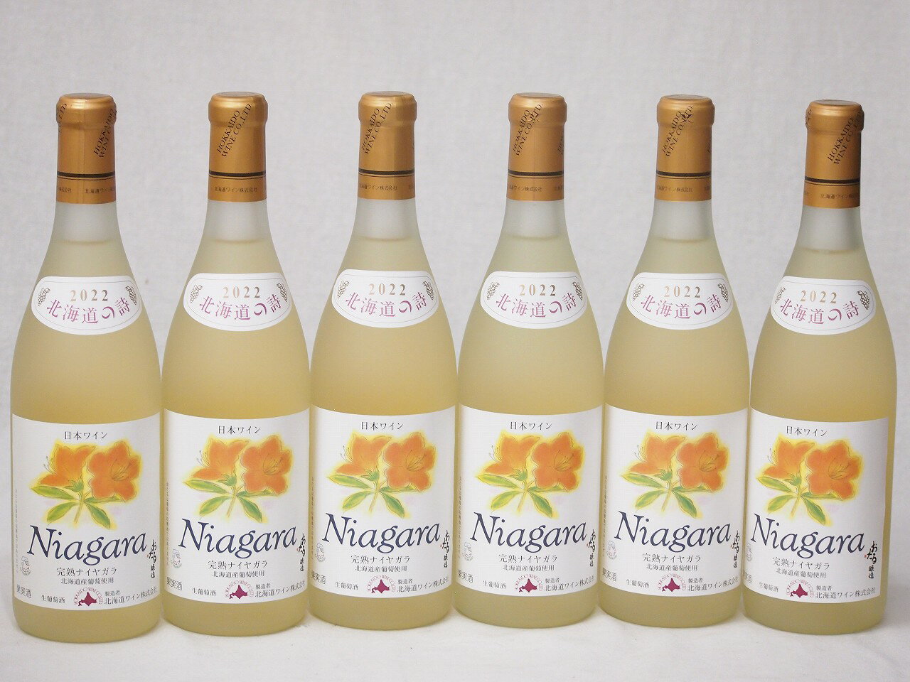 6本セット(おたる完熟ナイアガラ生葡萄酒 白ワイン甘口(北海道)) 720ml×6本