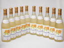 10本セット(おたる完熟ナイアガラ生葡萄酒 白ワイン甘口(北海道)) 720ml×10本