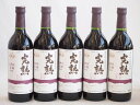 5本セット(信州産完熟巨峰 やや甘口赤ワイン ミディアム) 720ml×5本(4)