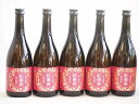 【最大2000円オフクーポン11日1:59迄】5本セット(紀州和歌山 香る南高 紅南高梅酒) 720ml×5本