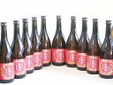 【最大2000円オフクーポン11日1:59迄】10本セット(紀州和歌山 香る南高 紅南高梅酒) 720ml×10本