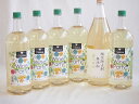 大容量ボトル6本セット(ワインパーティー 白ワイン やや辛口 酸化防止剤無添加 白ワイン やや辛口) 1500ml×5本 1800ml×1本